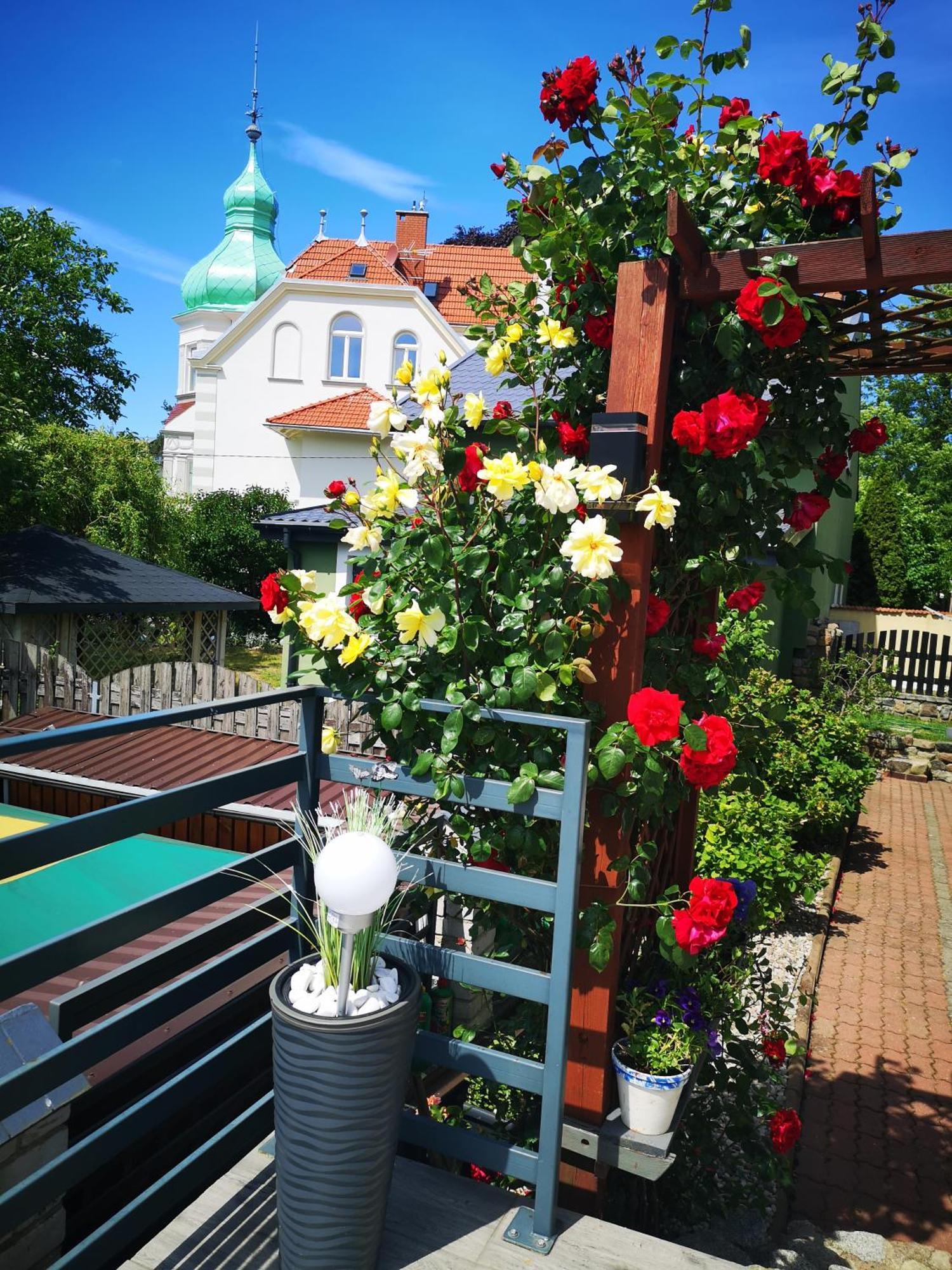 Villa Basia Miedzyzdroje Buitenkant foto